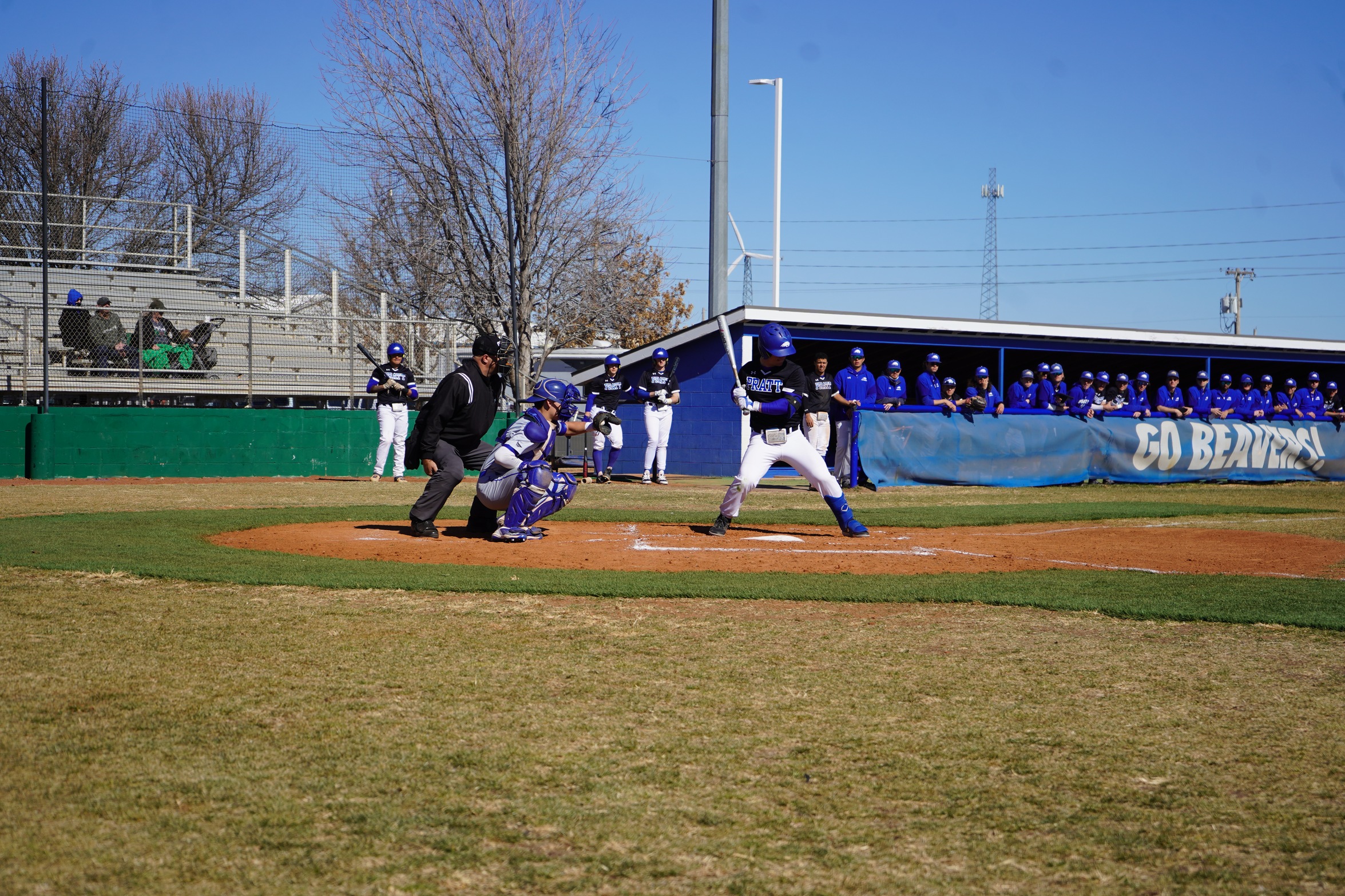 Beaver Baseball on 5 Game Winning Streak